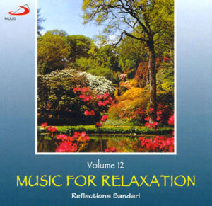 Music for relaxation vol. 12