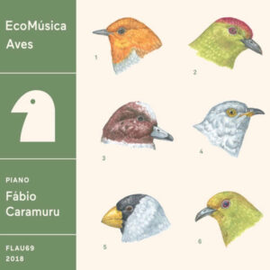 EcoMúsica - Aves