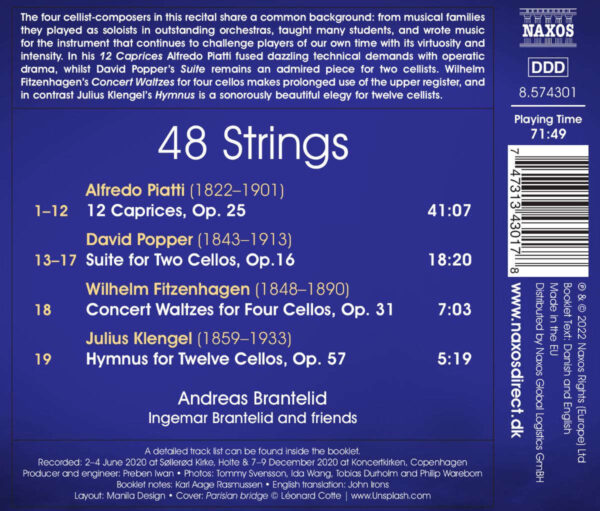 48 Strings - Imagem 2